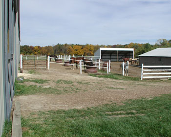 view of horse paddocks and fall trees