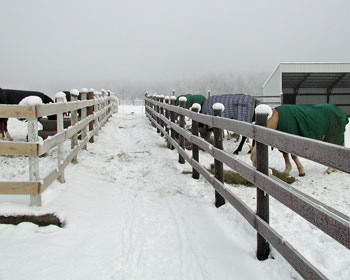 view of horse fence on a frosty day
