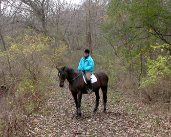 rider on a park trail in Fall