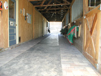 view down aisle of east barn